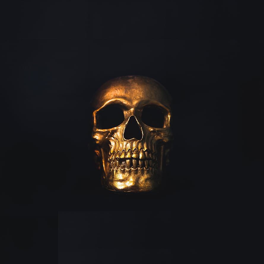 Golden Skull on Black Background, Dramatic Minimalist Portrait HD phone wallpaper