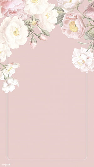 Elegant Watercolor Floral Frame with White and Pink Roses on Blush Pink Background HD phone wallpaper