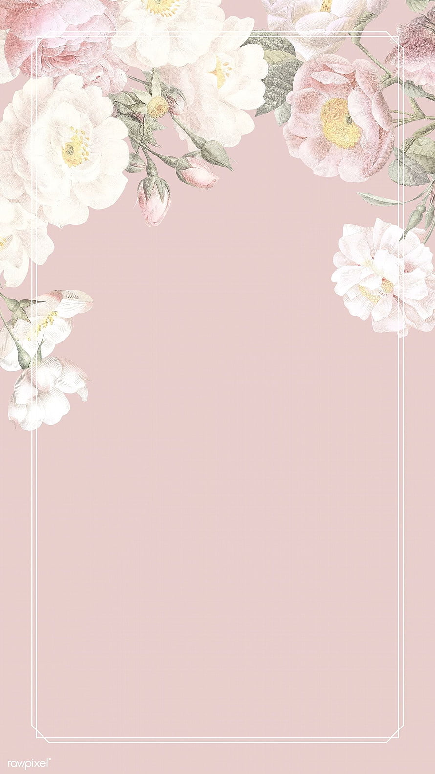 Elegant Watercolor Floral Frame with White and Pink Roses on Blush Pink Background HD phone wallpaper
