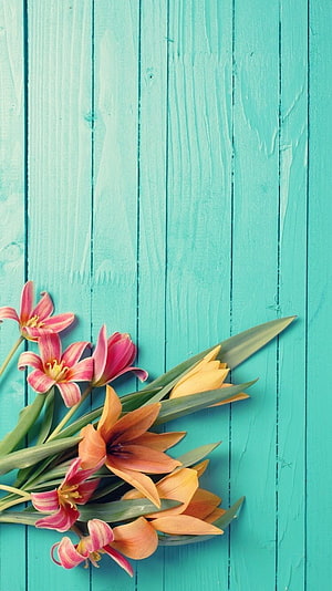Pink and orange lilies arranged on a turquoise wooden plank background HD phone wallpaper