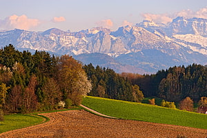 Swiss Alpine Landscape with Snow-Capped Peaks and Rolling Green Fields HD wallpaper