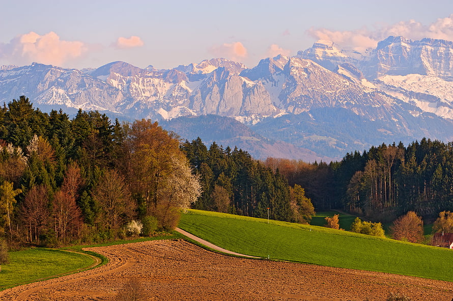 Swiss Alpine Landscape with Snow-Capped Peaks and Rolling Green Fields HD wallpaper