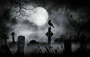 Spooky Cemetery Under Full Moon With Crows And Foggy Atmosphere HD wallpaper