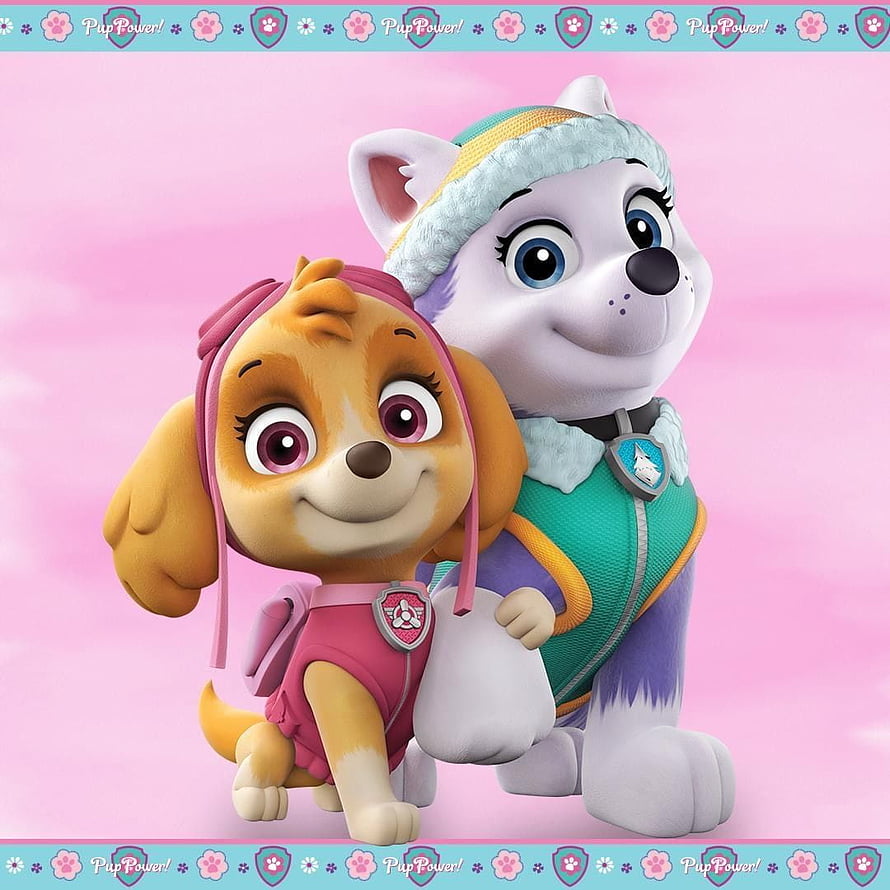 Skye and Everest from Paw Patrol in 3D Animation Style HD phone wallpaper