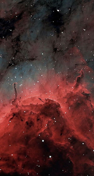 Vibrant Red Nebula and Starfield Deep Space Astrophotography Wallpaper HD phone wallpaper