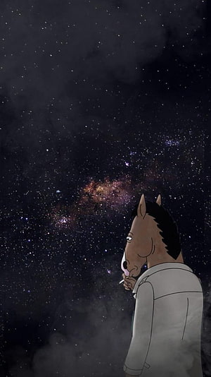 Bojack Horseman Staring at the Milky Way Galaxy in a Starry Night Sky HD phone wallpaper