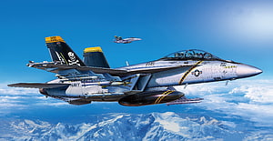 Grumman F-14 Tomcat Fighter Jet Flying Over Snowy Mountains HD wallpaper