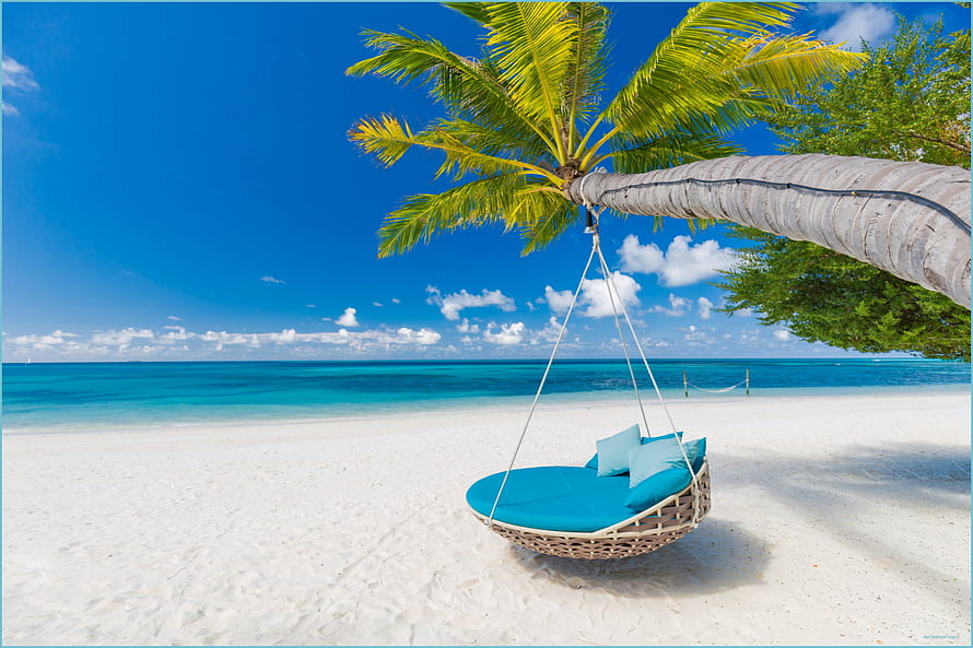 Tropical beach scene with a hanging wicker swing beneath a leaning palm tree on white sand HD wallpaper