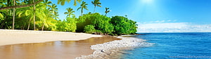 Tropical Beach Panorama With Palm Trees And Turquoise Ocean Water HD wallpaper