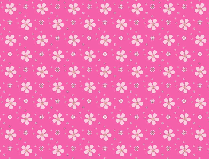 Cute Pink Floral Pattern with White Daisies and Starbursts HD wallpaper