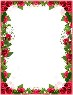 Elegant Red Rose Floral Border Frame with Green Leaves and White Background HD phone wallpaper