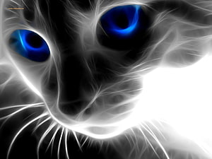 Abstract Black and White Cat Face with Glowing Blue Eyes HD wallpaper