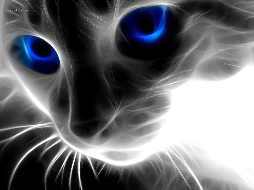 Abstract Black and White Cat Face with Glowing Blue Eyes HD wallpaper