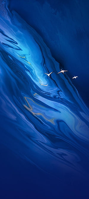 Abstract Blue Liquid Marble Texture with Flying Birds Silhouettes HD phone wallpaper