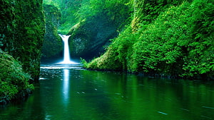 Lush Green Canyon Waterfall Flowing Into a Calm Reflective Pool HD wallpaper