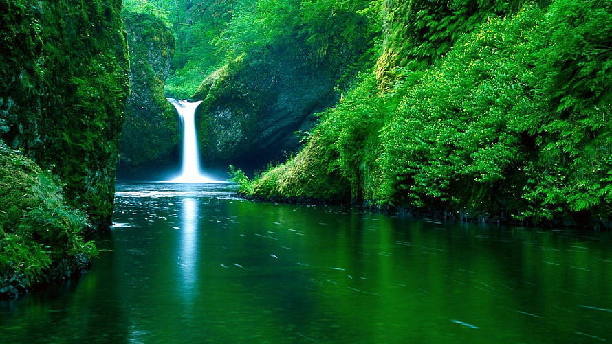 Lush Green Canyon Waterfall Flowing Into a Calm Reflective Pool HD wallpaper