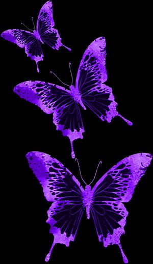 Glowing Purple Swallowtail Butterflies with Dripping Ink Effect on Black Background HD phone wallpaper