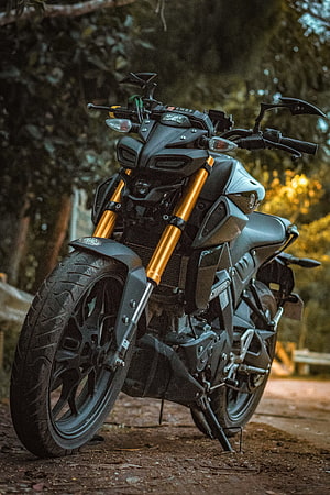 Yamaha MT-15 V2 Matte Black Motorcycle with Gold Forks Parked in Forest HD phone wallpaper