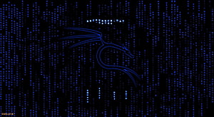 Kali Linux Black Background with Glowing Blue Dragon Logo and Digital Matrix Rain HD wallpaper