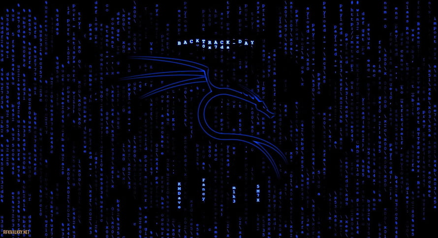 Kali Linux Black Background with Glowing Blue Dragon Logo and Digital Matrix Rain HD wallpaper