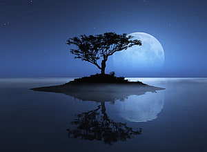 Lone Tree on Misty Island Under Full Moon with Starry Night Sky Reflection HD wallpaper