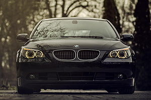 Black BMW 5 Series Front View with Angel Eyes Headlights in Forest Setting HD wallpaper