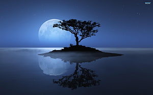 Silhouetted Tree on Misty Island with Full Moon Reflection in Calm Water HD wallpaper