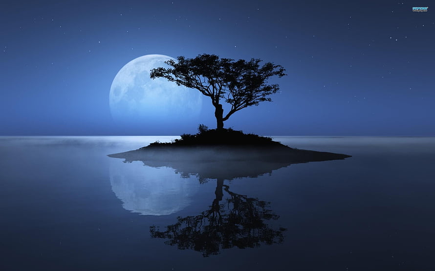 Silhouetted Tree on Misty Island with Full Moon Reflection in Calm Water HD wallpaper