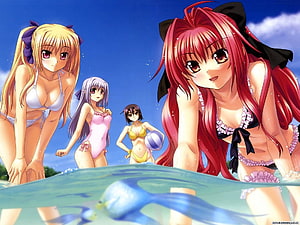 Four anime girls in colorful bikinis at a sunny beach with a blue fish underwater HD wallpaper