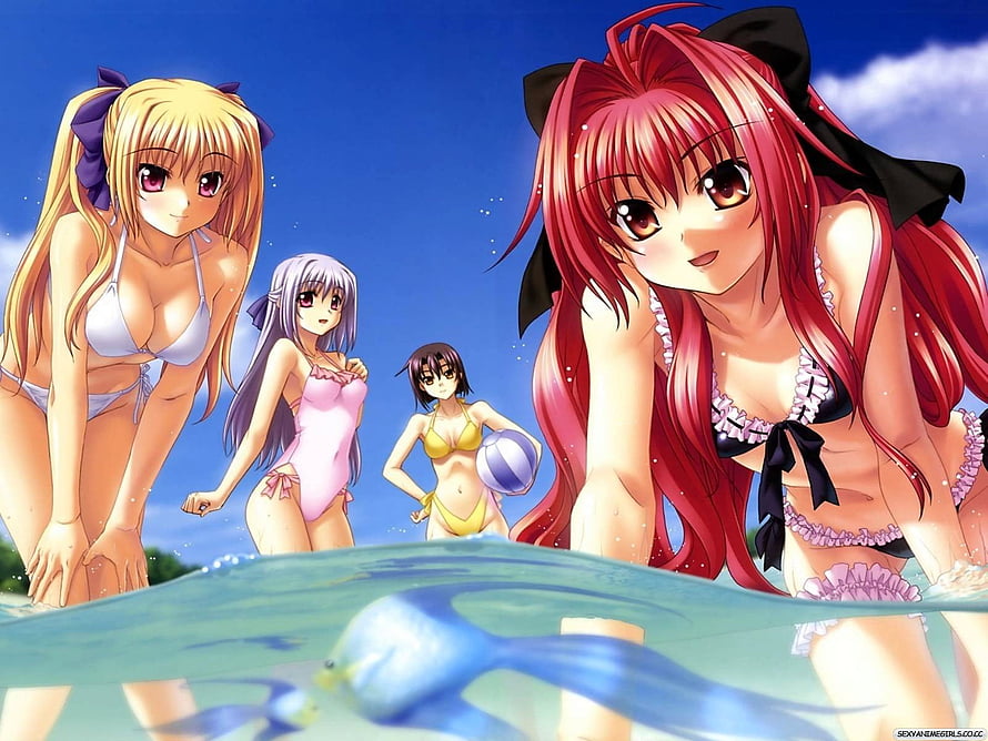 Four anime girls in colorful bikinis at a sunny beach with a blue fish underwater HD wallpaper