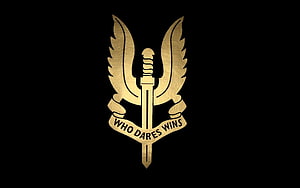 Golden Special Forces Emblem With Sword And Wings On Black Background HD wallpaper