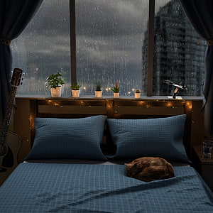 Cozy Bedroom Scene with Sleeping Cat and Rainy City View at Night HD phone wallpaper