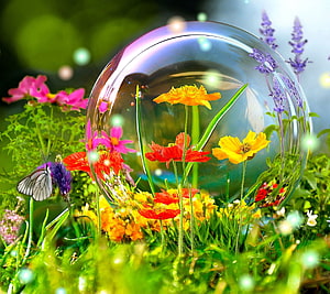Spring Garden Macro with Glass Sphere, Wildflowers, and Butterfly HD wallpaper