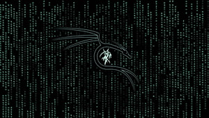 Kali Linux Matrix Digital Rain Background with Glowing Dragon Logo HD wallpaper