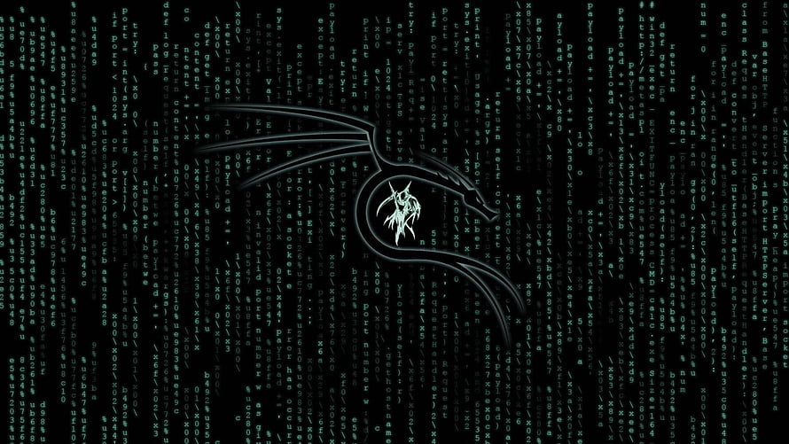 Kali Linux Matrix Digital Rain Background with Glowing Dragon Logo HD wallpaper