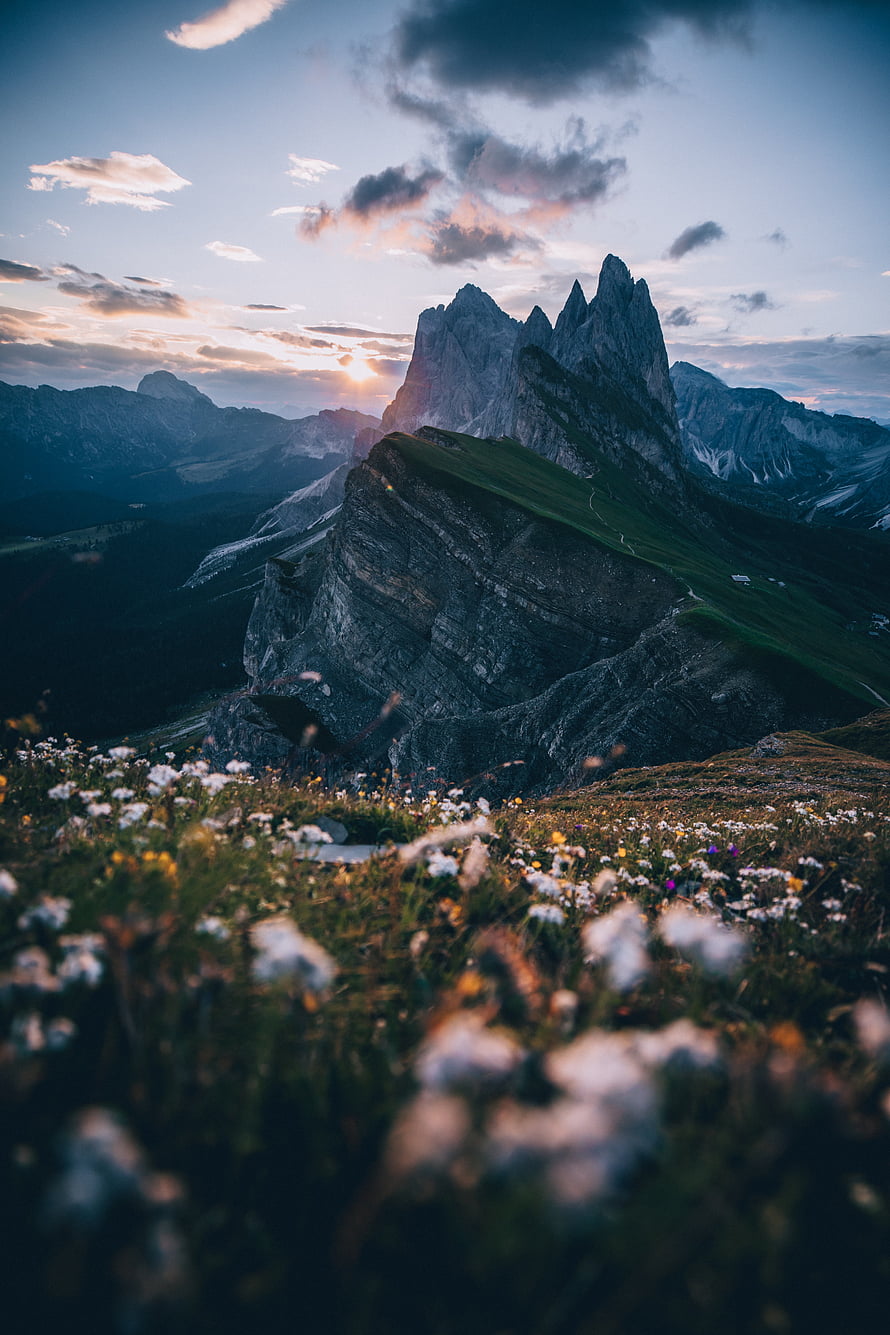 Dramatic Dolomites Mountain Peaks at Sunset with Wildflower Meadow Foreground HD phone wallpaper