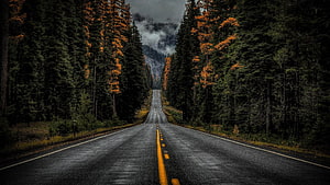 Moody Two-Lane Highway Cutting Through Dense Evergreen Forest Under Overcast Skies HD wallpaper