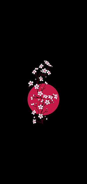 Minimalist Cherry Blossom Branch Against Red Circle on Black Background HD phone wallpaper