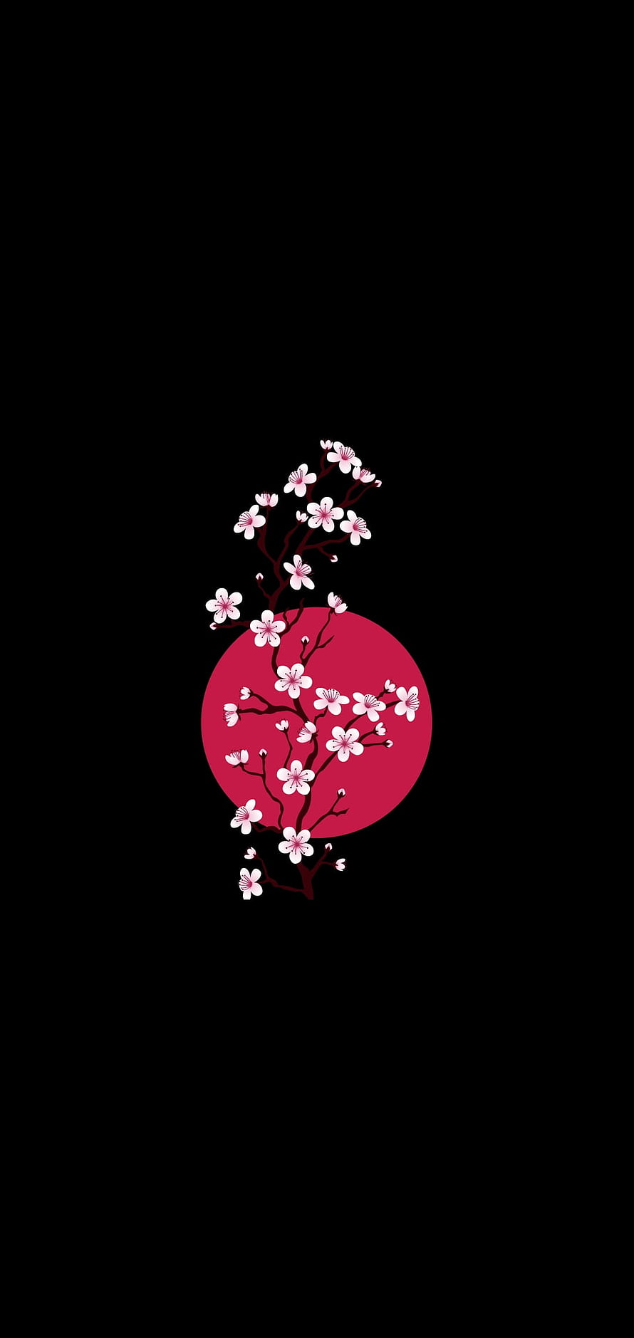 Minimalist Cherry Blossom Branch Against Red Circle on Black Background HD phone wallpaper
