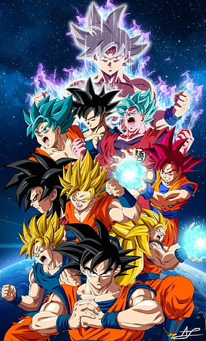 Dragon Ball Super Goku All Transformations Anime Group Artwork HD phone wallpaper