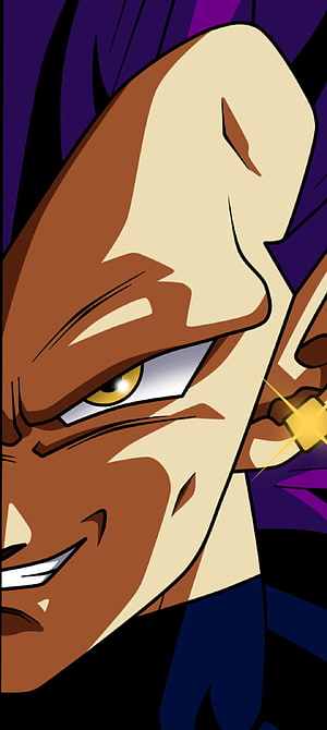 Vegeta Ultra Ego Form Close-Up Portrait From Dragon Ball Super Anime HD phone wallpaper