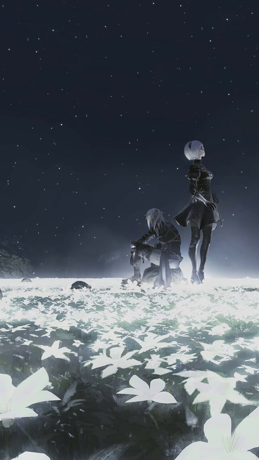 2B and 9S in a Field of White Flowers Under a Starry Night Sky HD phone wallpaper