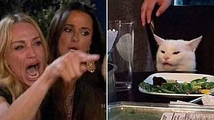 Woman Yelling At A Cat Meme Featuring Smudge The White Cat At A Restaurant Table HD wallpaper