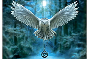 Anne Stokes Fantasy Art: White Owl in Flight with Pentagram Pendant in Misty Forest HD wallpaper