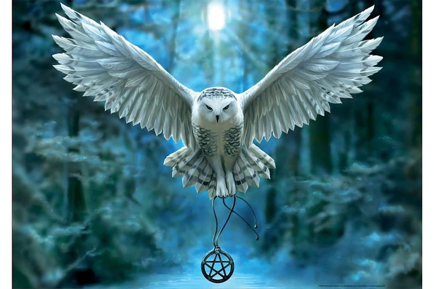 Anne Stokes Fantasy Art: White Owl in Flight with Pentagram Pendant in Misty Forest HD wallpaper