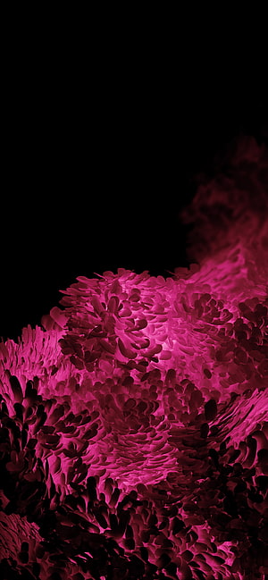 Vibrant Magenta Abstract Wave Pattern on Black Background HD phone wallpaper