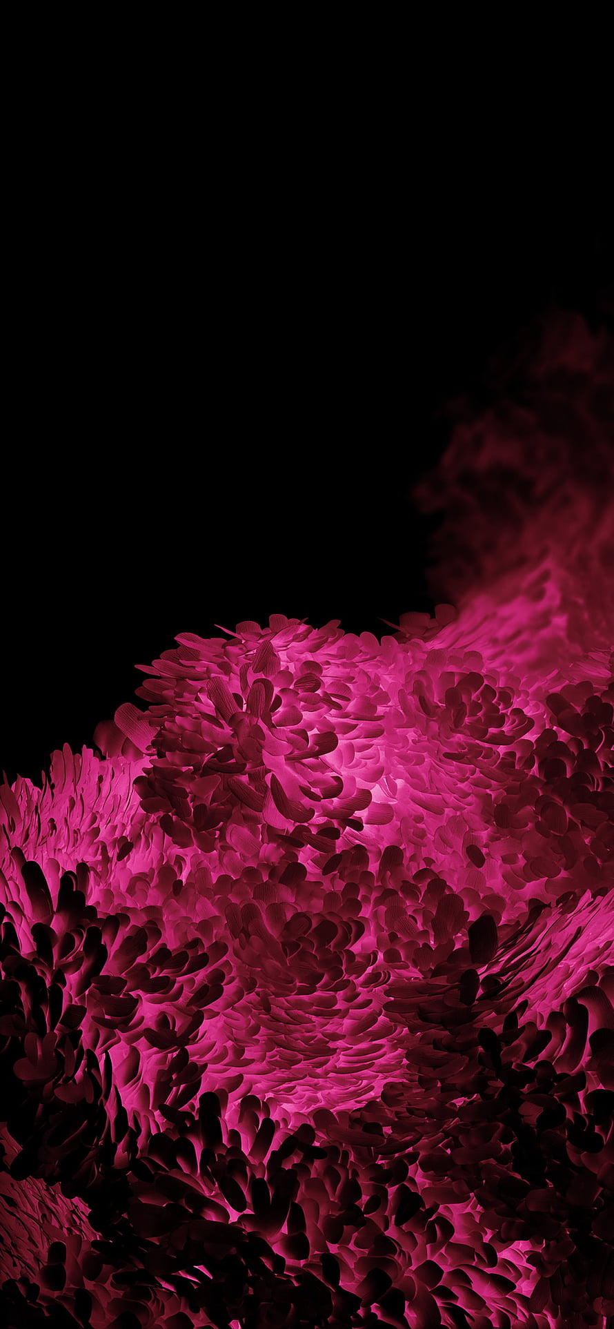 Vibrant Magenta Abstract Wave Pattern on Black Background HD phone wallpaper