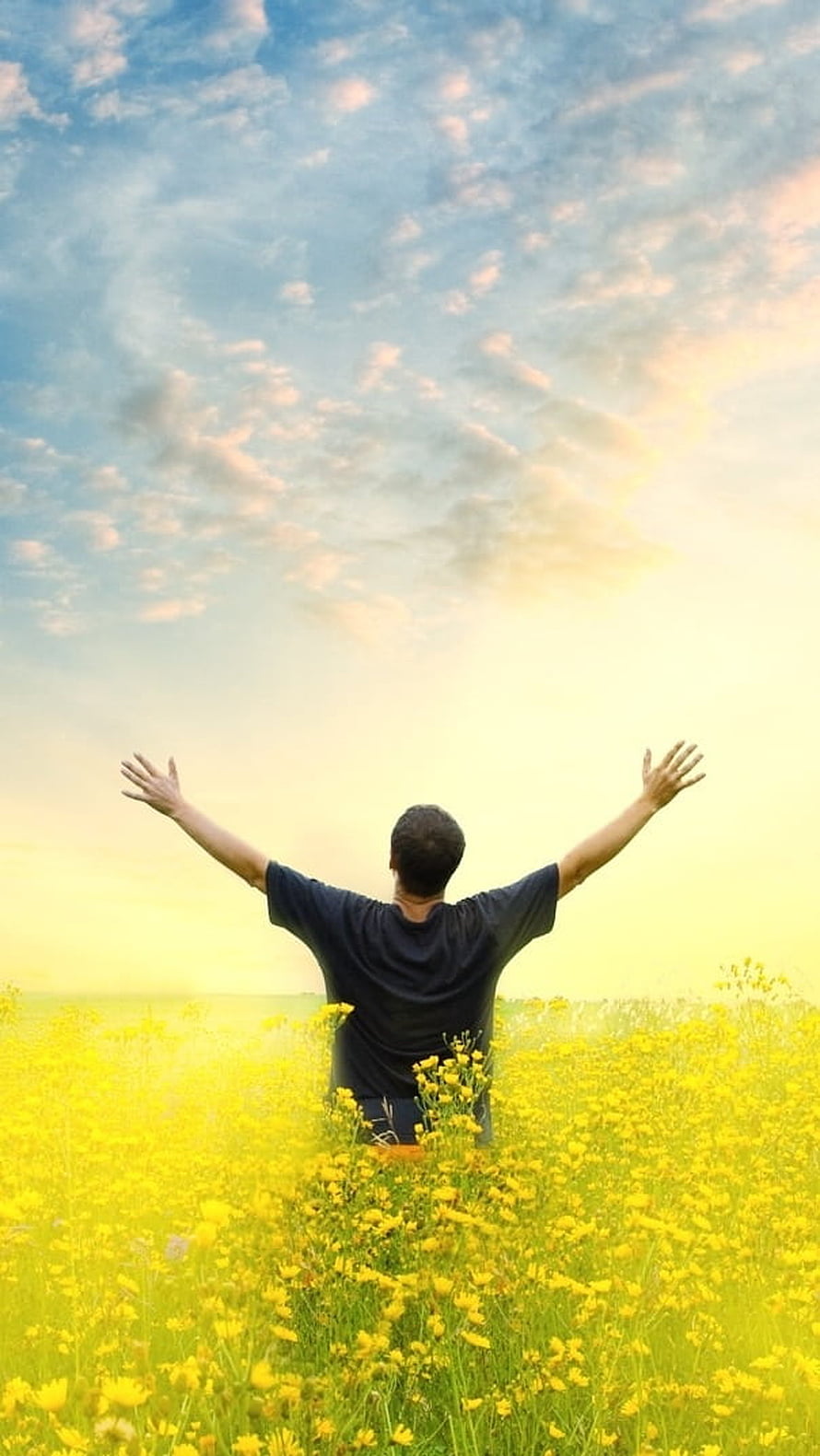 Man with arms raised in a field of yellow wildflowers under a soft blue sky, Single Boy Attitude, Happy, nature background HD phone wallpaper