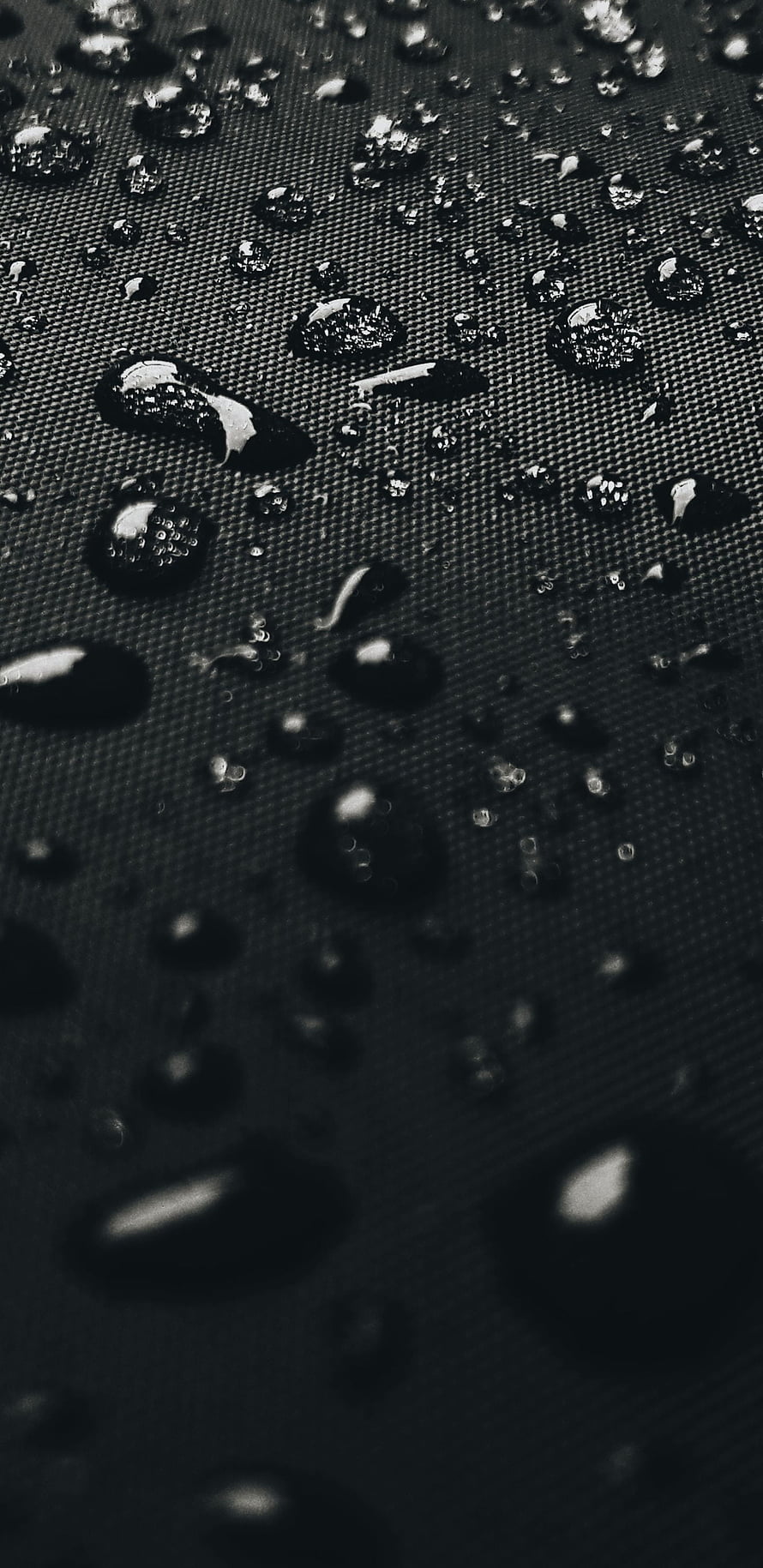 Macro Photography of Water Droplets on a Dark Textured Surface HD phone wallpaper