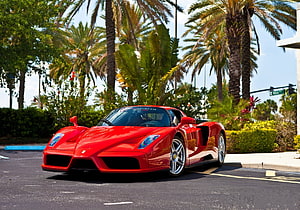 Red Ferrari Enzo Super Car Parked on Tropical Street with Palm Trees HD wallpaper